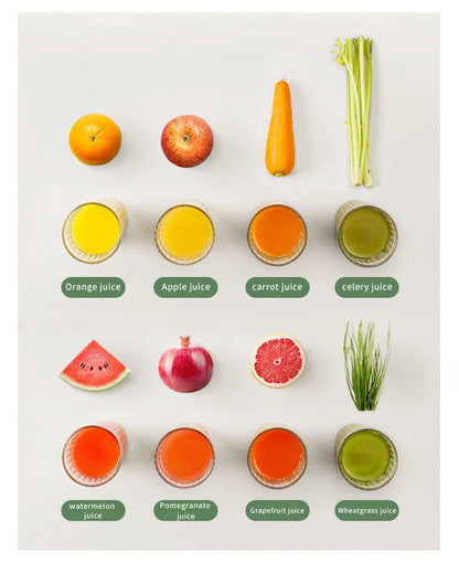 Mokkom Mini Cold Press Juicer