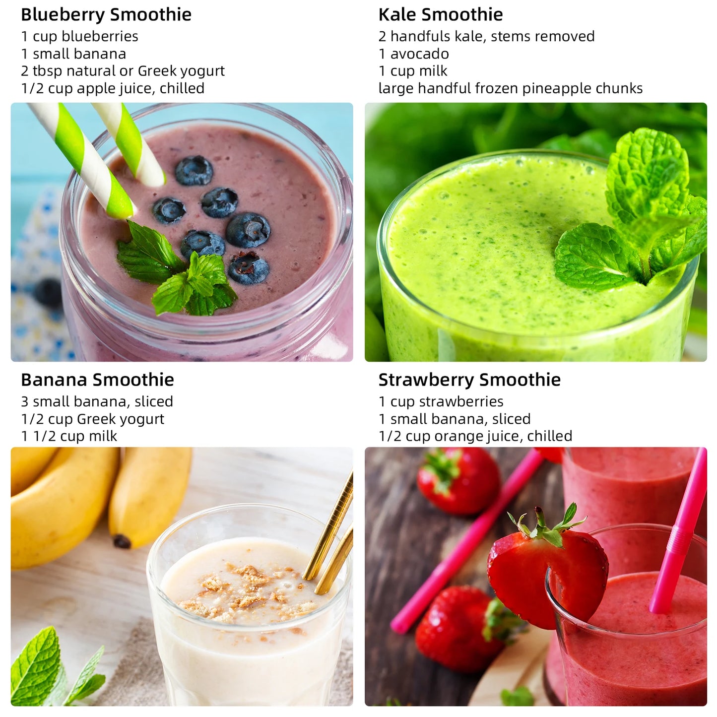 BioloMix 1300W High-Power Blender